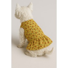 Feyza Design Yazlık Köpek ve Kedi Elbisesi, Papatya Detaylı, 1-10 kg