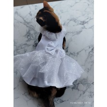 Feyza Design Sevimli Kedi ve Köpek Için Renkli Gelinlik ve Abiye Tasarımı