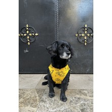 Feyza Design Renkli Desenli Yazlık Tişört, Rahat ve Şık Günlük Giyim