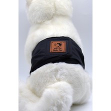 Feyza Design Yumuşak ve Dayanıklı Erkek Köpek Tasması, Rahat Kullanım Için Ideal Seçim