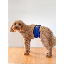 Feyza Design Mavi Erkek Köpek Çiş Bezi, Rahat ve Güvenli Koruma, Erkek Köpekler Için