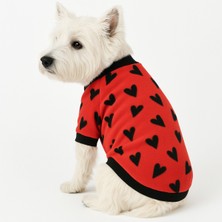 Feyza Design Renkli ve Şık Küçük Irk Kedi ve Köpek Polar Sweatshirt