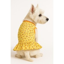 Feyza Design Sevimli Oranj Çiçekli Kedi ve Köpek Elbisesi (1-10 Kg)