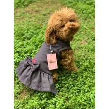 Feyza Design Şık ve Rahat Köpek-Kedi Ön Çıtçıtlı Kot Elbise