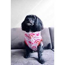Feyza Design Çift Taraflı Su Geçirmez Yağmurluk ve Teddy Yelek, Renkli Köpek Montu