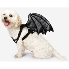 Feyza Design Yarasa Şekilli Evcil Hayvan Kostümü, Eğlenceli ve Şık Tasarım