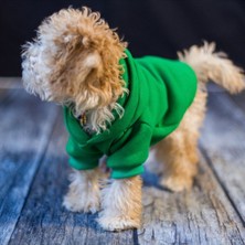 Feyza Design Su Geçirmez, Hafif ve Rahat Köpek ve Kedi Ceket Montu