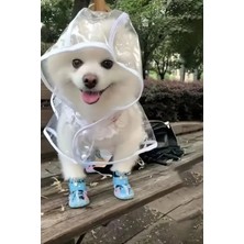 Feyza Design Şeffaf Köpek Yağmurluğu, Pvc, Su Geçirmez, Tüm Irklar Için Mükemmel