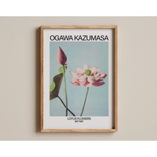 Ninastore Lotus Çiçekleri Baskısı, Ogawa Kazumasa Imzalı Japon El Boyaması Fotoğraf, Vintage Lotus Çiçeği Çalı