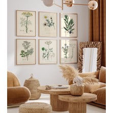 Ninastore 6'lı Botanik Baskı Seti, 6'lı Vintage Baskı Seti, 6'lı Botanik Eğrelti Otu Baskı Seti, Modern Çiçek