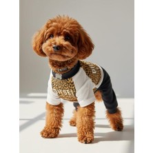 Feyza Design Leopar Desenli Penye Köpek Tulum, Tüy Dökülmesini Azaltıcı, Küçük Irkler Için