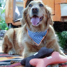 Feyza Design Çizgili Köpek Fuları, Turuncu Detaylı, S-M-L Beden, Şık ve Rahat Kullanım