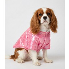 Feyza Design Parlak Metalik Pembe Su Geçirmez Kapitone Köpek Montu, Kışlık Elyaf Dolgulu