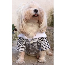 Feyza Design Siyah Çizgili Polo Yaka Köpek Tişörtü, Şık ve Rahat Kış Kıyafeti