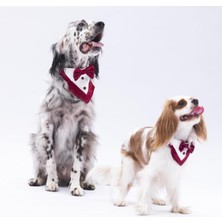 Feyza Design Bordo Renkli Şık Kedi ve Köpek Fuları Pet Bandanası