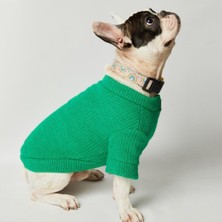Feyza Design Renkli ve Yumuşak Triko Köpek Kazak, Rahat ve Şık Tasarım
