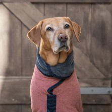 Feyza Design Şık ve Rahat Köpek Bornozu, Limited Edition Dusk/ocean Tasarımı