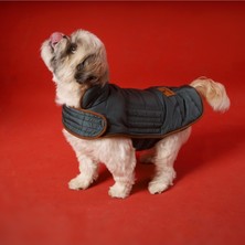 Feyza Design Renkli Kapitone Köpek Montu, Rahat ve Şık Tasarım, Tüm Irklar Için Uygun