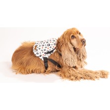 Feyza Design Yumuşak ve Hafif Köpek Sırt Çantası, Konforlu Taşıma Için Ideal Seçenek