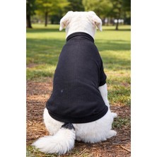 Feyza Design Siyah Köpek Kışlık Kazak, Şık ve Sıcak Evcil Hayvan Giyimi
