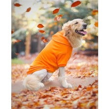 Feyza Design Renkli Kapüşonlu Sweatshirt, Orta ve Büyük Irklar Için Rahat ve Şık