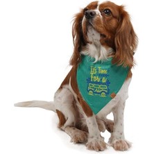 Feyza Design Renkli ve Şık Evcil Hayvanlar Için Çok Amaçlı Köpek ve Kedi Fuları