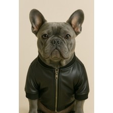 Feyza Design Şık ve Rahat Deri Ceket, Küçük ve Orta Irk Köpekler Için Tarzlı Giyim