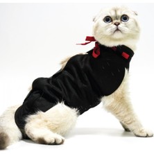 Feyza Design Yara Koruyucu Korse, Ameliyat Sonrası Destek, Veteriner Tavsiyesi