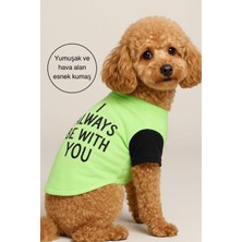 Feyza Design Sevimli ve Renkli Köpek Elbisesi, Ince Tişört Tasarımı