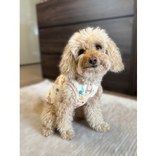 Feyza Design Krem Renkli Ayıcıklı Rahat ve Şık T-Shirt