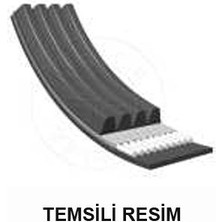 Bando Mtxdpn Kanalli Kayiş Astra G 1.7d 98-00 Subaru-Mazda-Kia-Bmw