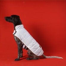 Feyza Design Sıcak ve Şık Kapitone Köpek Montu, Tüm Irklara Uygun, Rahat Kullanım