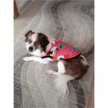 Feyza Design Yazlık Kedi ve Köpek Tişörtleri, Rahat ve Şık Tasarımlar