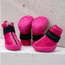 Feyza Design Renkli ve Şık Köpek Patiği, Rahat ve Hafif Tasarım