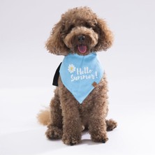 Feyza Design Canlı ve Şık Yaz Teması Köpek ve Kedi Bandanası, Renkli ve Hafif Tasarım