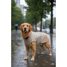 Feyza Design Su Geçirmez Softshell Köpek Yağmurluğu, Ayarlanabilir Boyun ve Göğüs Tasması