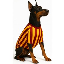 Feyza Design Büyük Irk Kedi ve Köpek Taraftar Forma Sarı Kırmızı, Şık ve Konforlu Tasarım