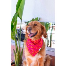 Feyza Design Sevimli Köpekler Için Desenli Çıtçıtlı Fular ve Bandana Seti
