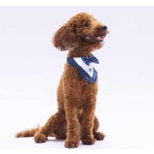 Feyza Design Lacivert Renkli Köpek ve Kedi Için Sevimli Fular Takımı