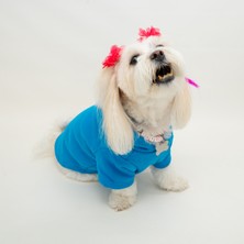 Feyza Design Yumuşak Pamuklu Kedi ve Köpek Sweatshirtleri, Rahat ve Şık Tasarım