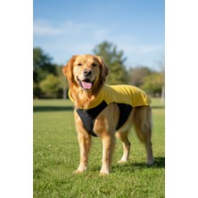 Feyza Design Termal Köpek Yeleği, Polar ve Su Itici Dalgıç Kumaş, Hafif ve Şık Tasarım