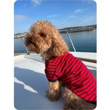 Feyza Design Rahat ve Şık Cepli Kısa Kollu Tişört, Günlük Tarzınıza Renk Katın