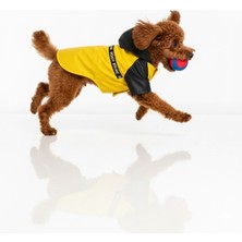 Feyza Design Su Geçirmez Köpek Montu, Şık ve Rahat Yağmurluk, Köpekler Için Premium Tasarım