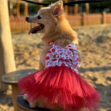 Feyza Design Renkli Kiraz Desenli Tüylü Elbise, Küçük Irk Köpek ve Kedi Için