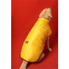 Feyza Design Renkli Kapitone Köpek Montu, Rahat ve Şık Tasarım, Hafif ve Kullanışlı