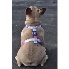 Feyza Design Mavi Unicorn H Tipi Göğüs Tasması, Rahat ve Şık Tasarım