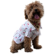 Feyza Design Sevimli Kiraz Desenli Köpek Elbisesi, Şık ve Rahat Tasarım