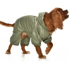 Feyza Design Yeşil Renkli Küçük ve Orta Irk Köpekler Için Paçalı Mont