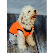 Feyza Design Su Geçirmez Köpek Ceket, Rüzgar Koruyucu Yumuşak Mont