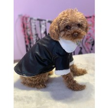 Feyza Design Su Geçirmez Rüzgar Geçirmez Deri Köpek Kedi Montu, Şık ve Konforlu